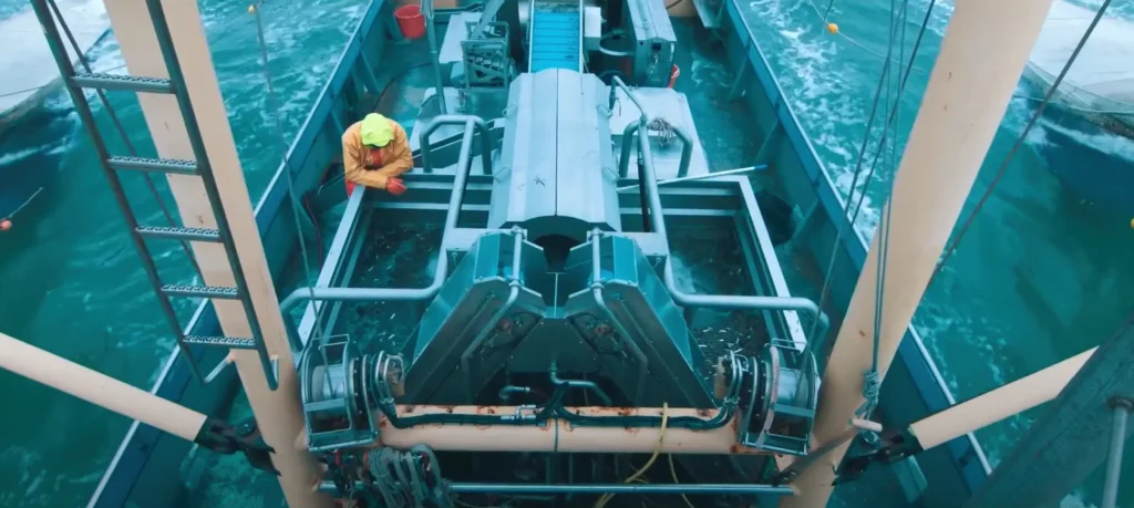 Duurzame garnalenvangst nieuwsartikel - DeBoerRVS